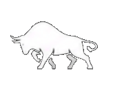 bull